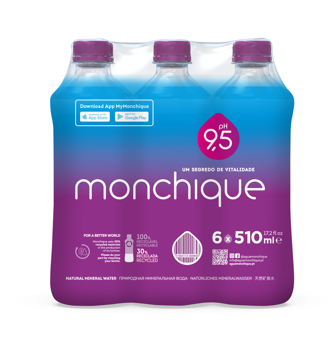 AGUA MINERAL MONCHIQUE PET 0,51L PAC 6UN